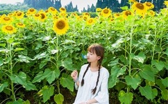 欧美人zzzooo在线观看